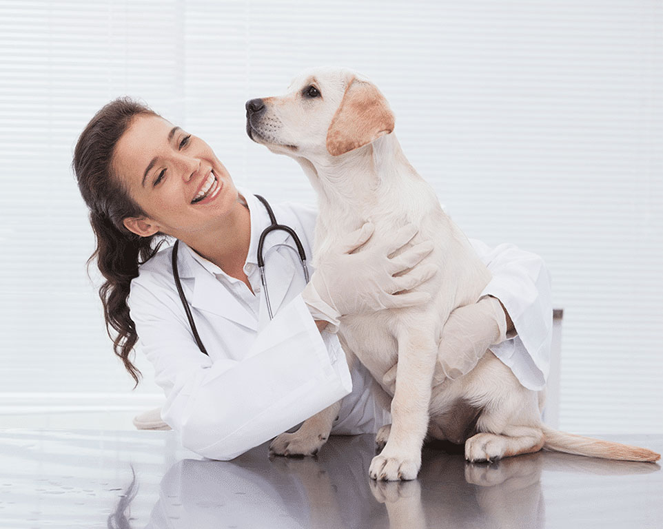 Analisi Veterinarie messina